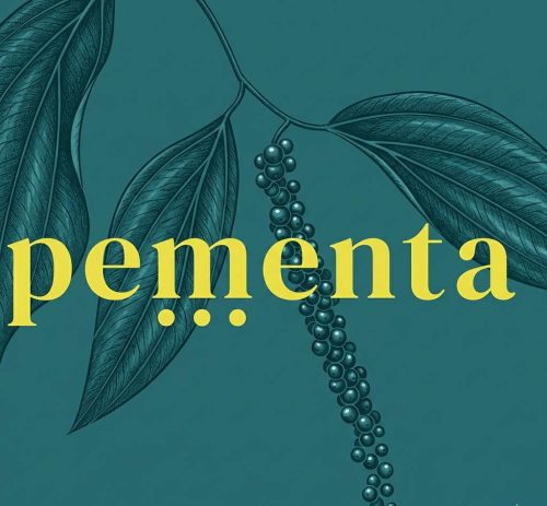Pementa eyewear